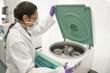Genecell International Underscores Importance of Cord Blood Stem Cells...